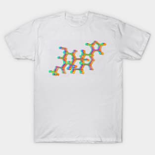 Salvia T-Shirt